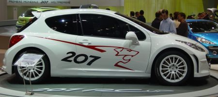 Peugeot 207 RCup