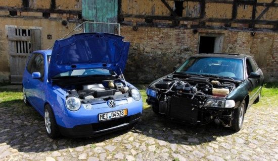 Lupo plus donor