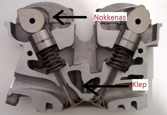 Kleppen + nokkenas