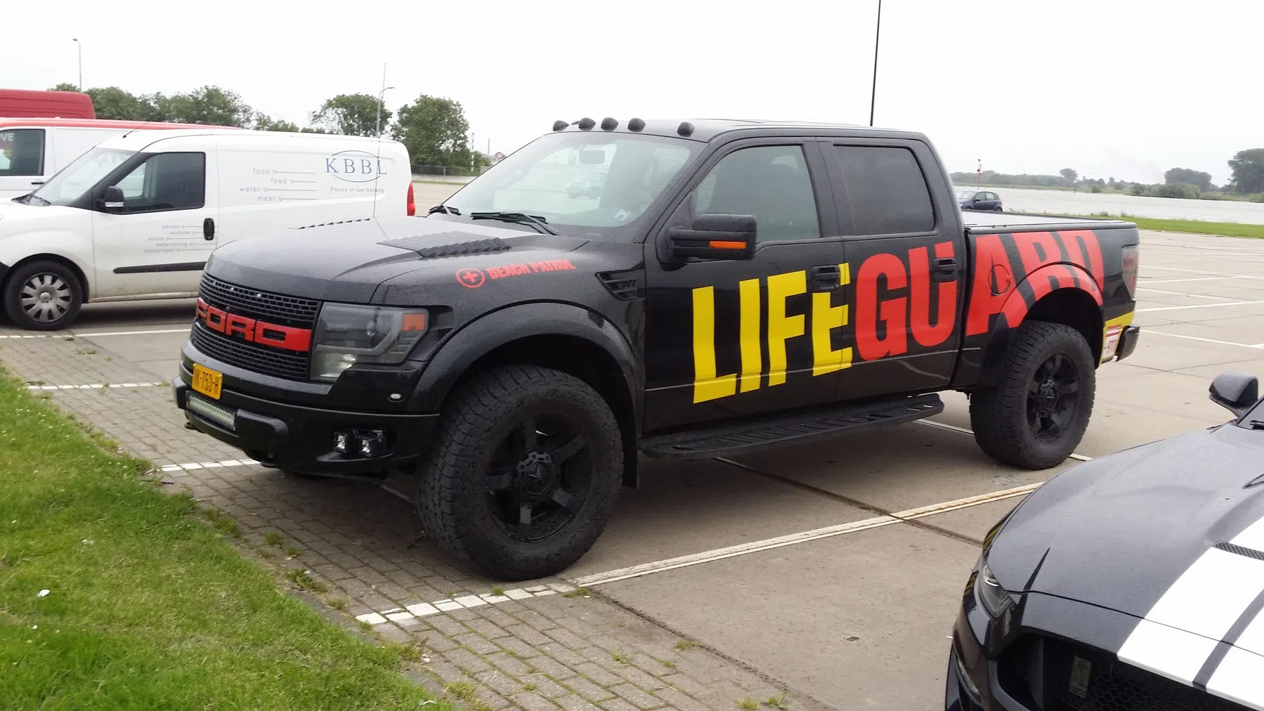 Ford Mustang & Ford Raptor