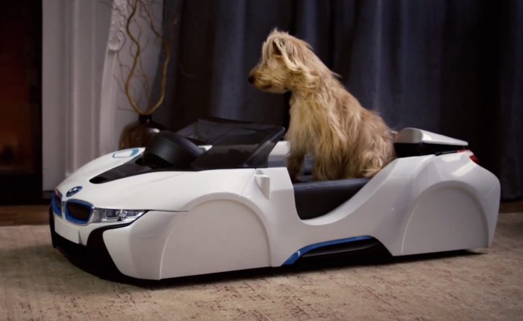BMW dDrive i8 Dog