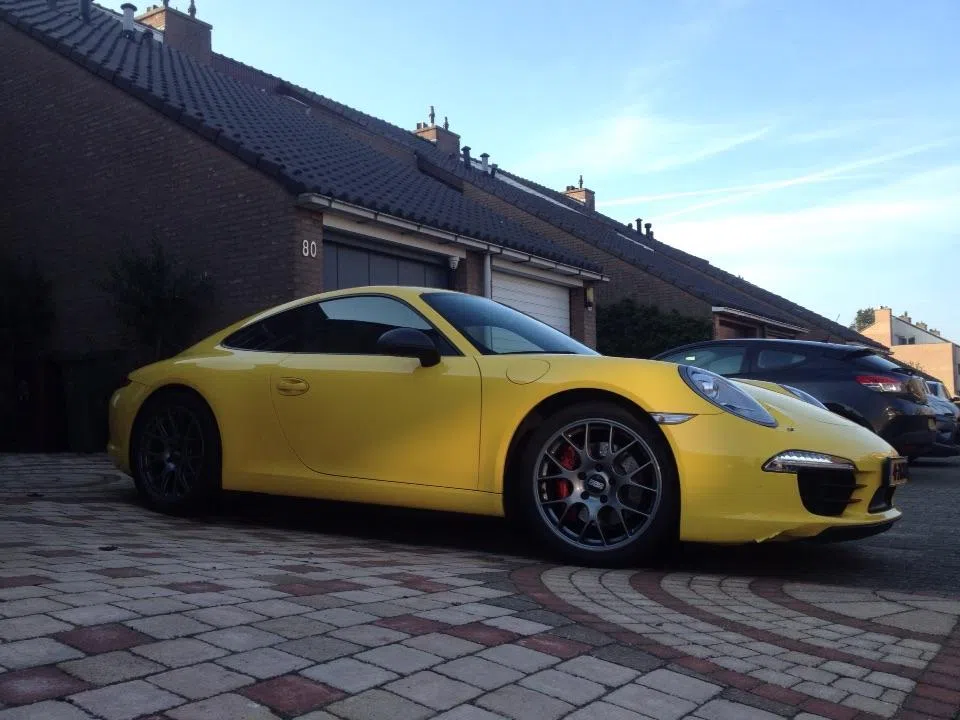 991 beetle