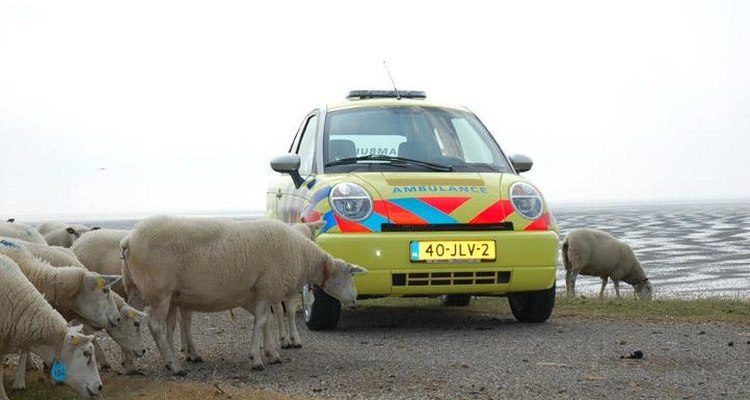 Think Ambulance bij het Wad