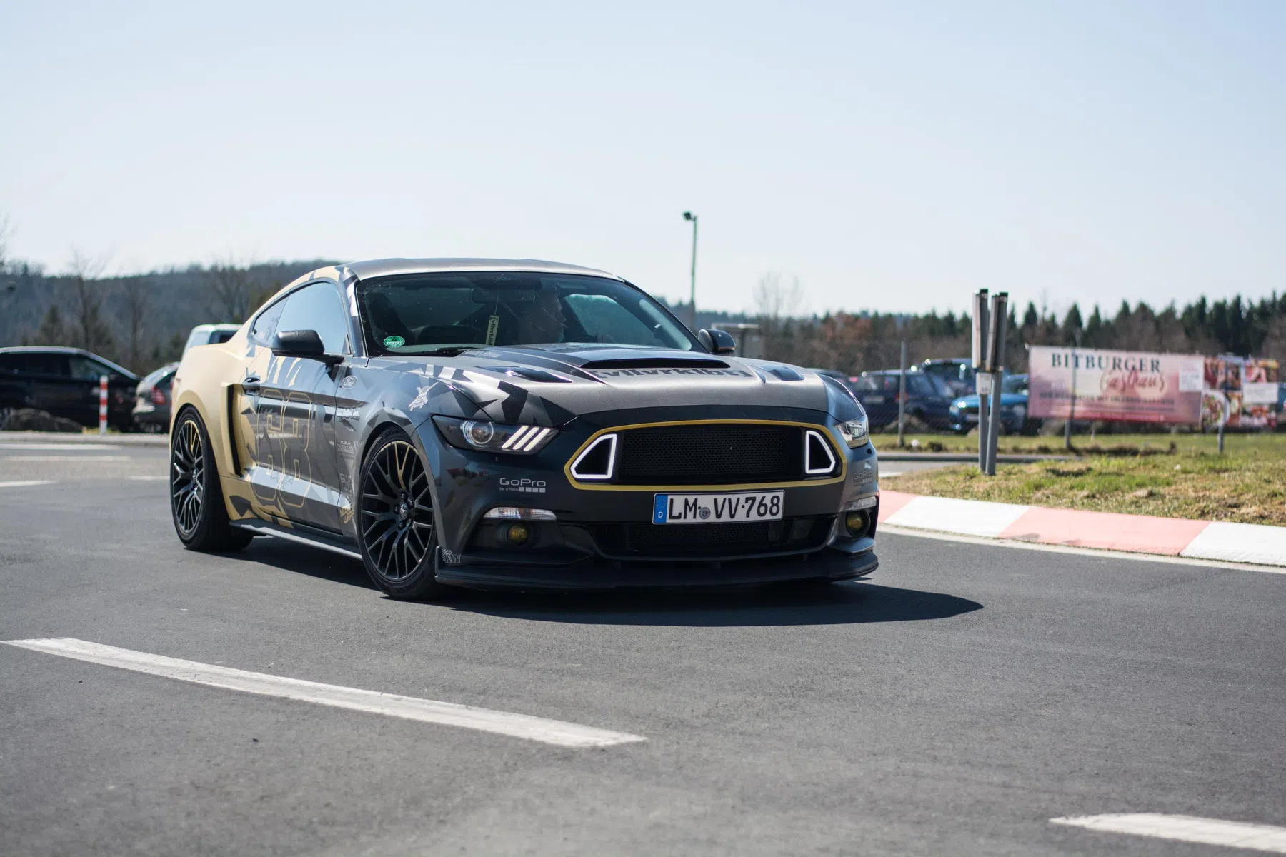 Mustang RTR