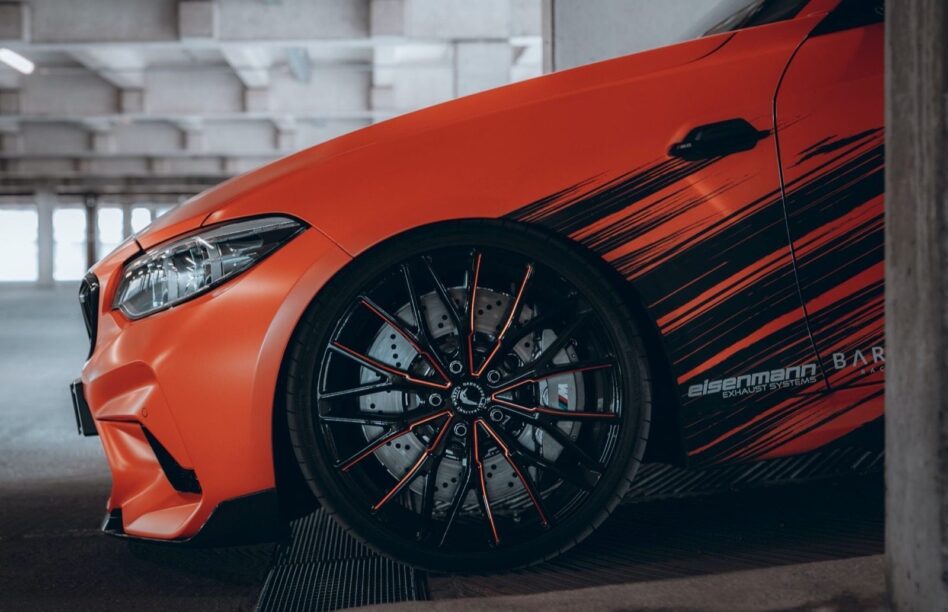 Barracuda velgen