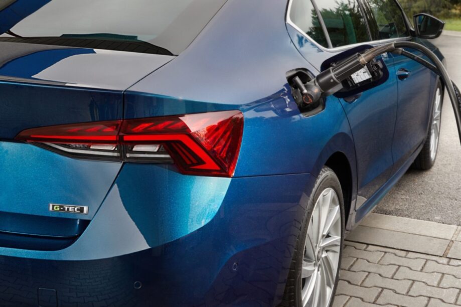 Skoda Octavia motorengamma
