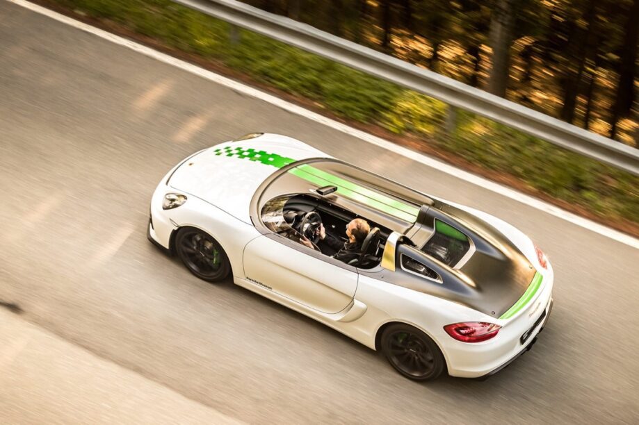 Bergspyder