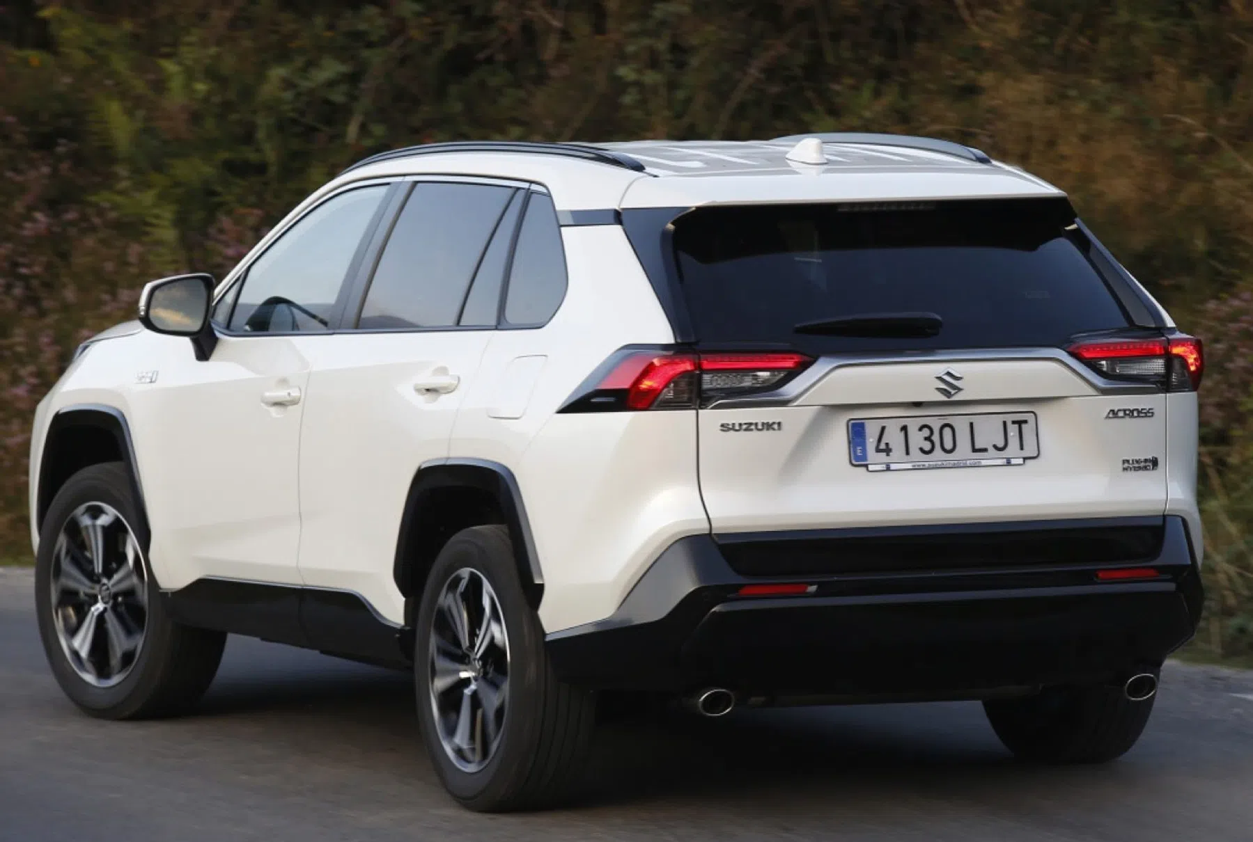 ruime en praktische PHEV