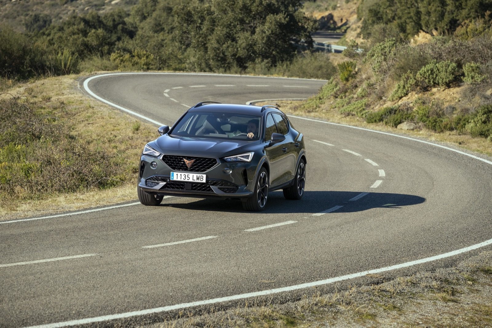 Cupra Formentor e-Hybrid