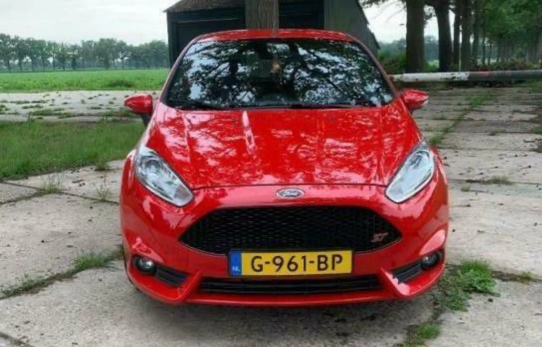 Fiesta ST occasion