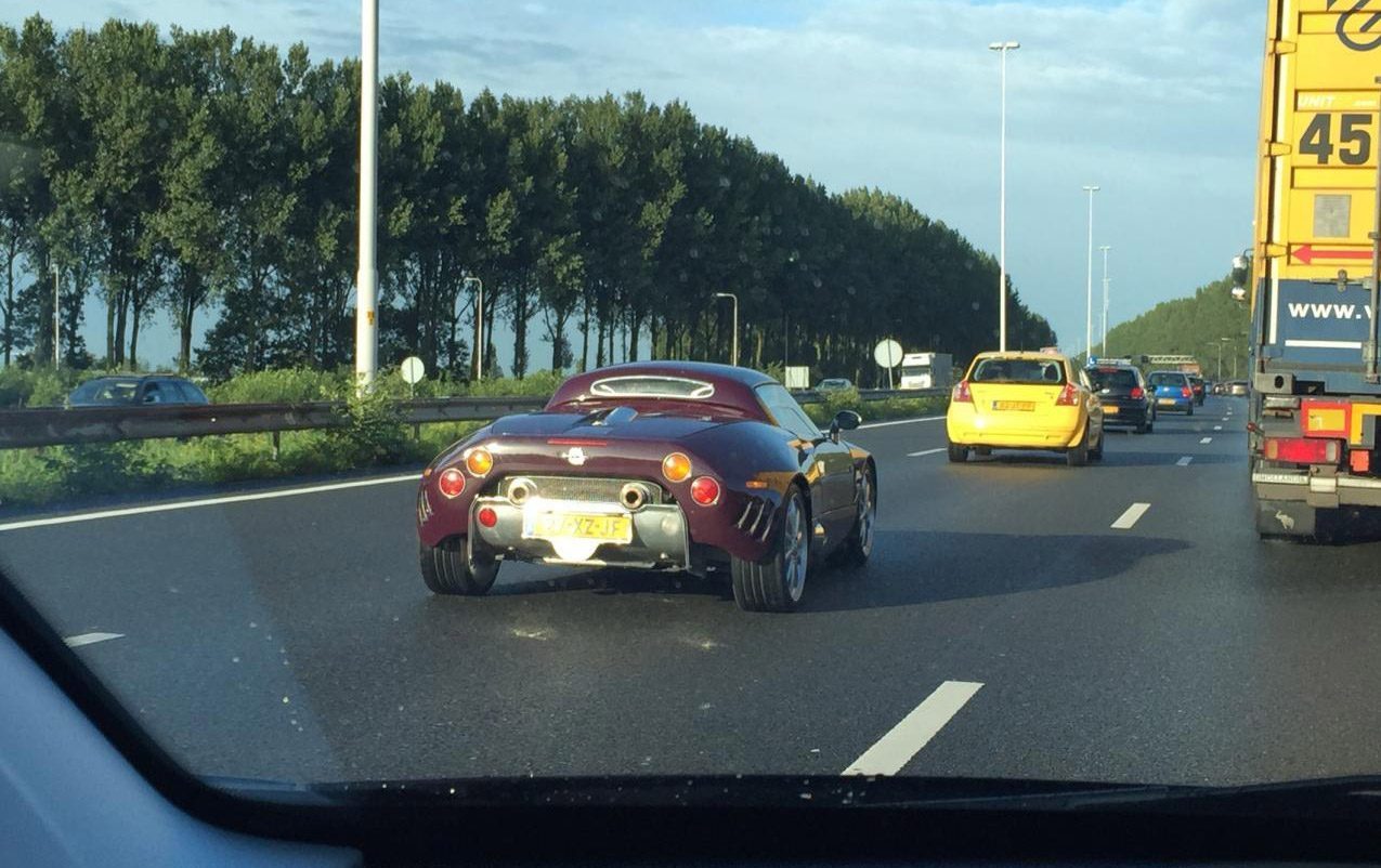spyker in het wild gespot