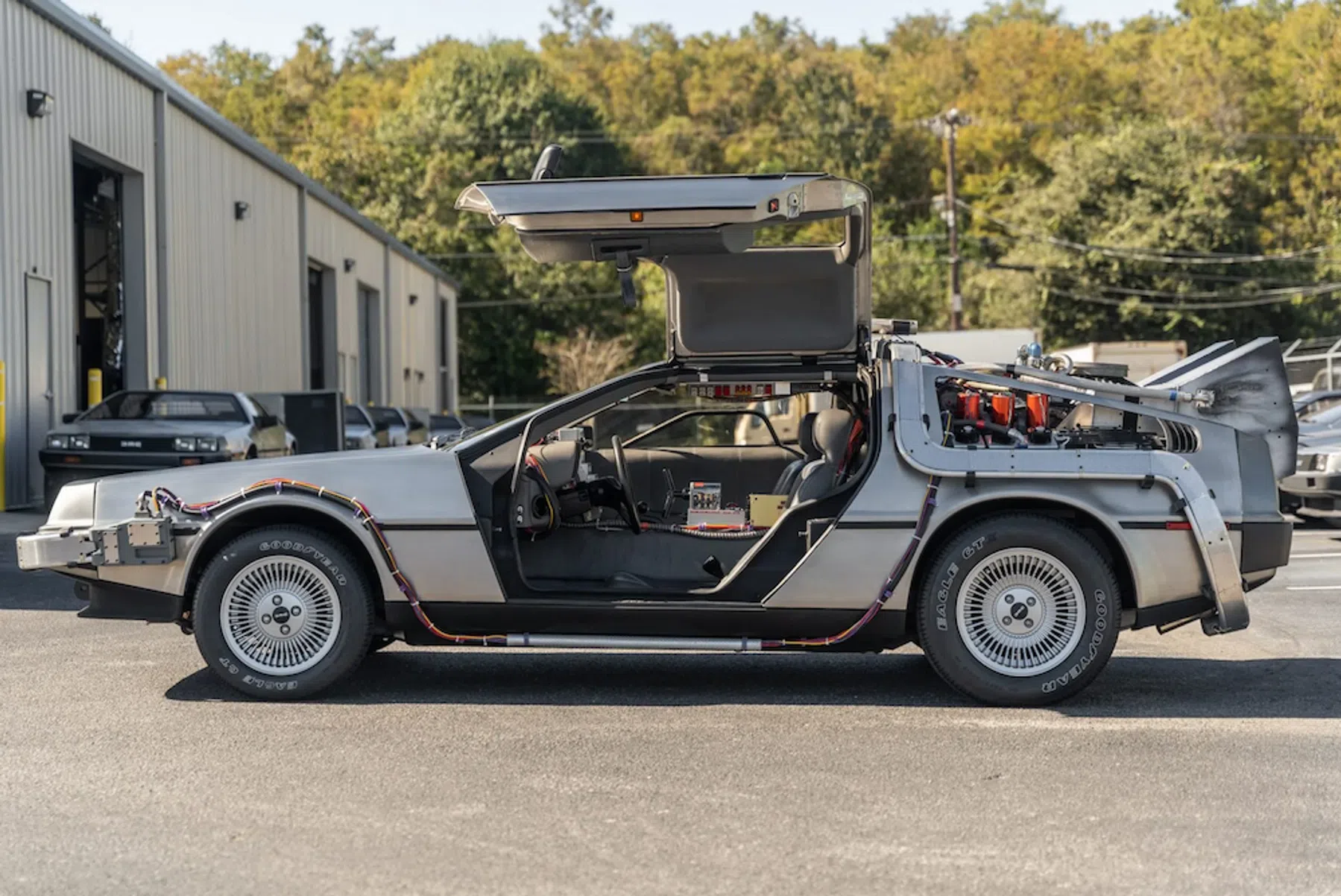 DeLorean deuren