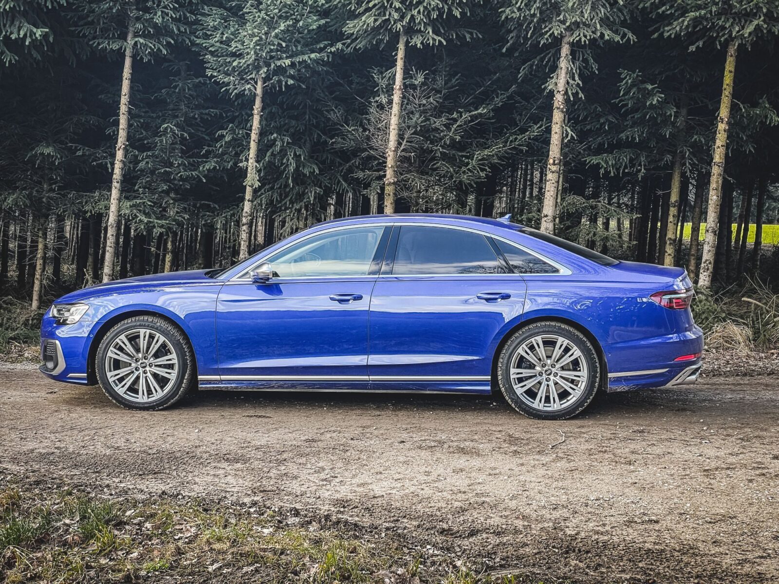 Audi S8 2022 rijtest