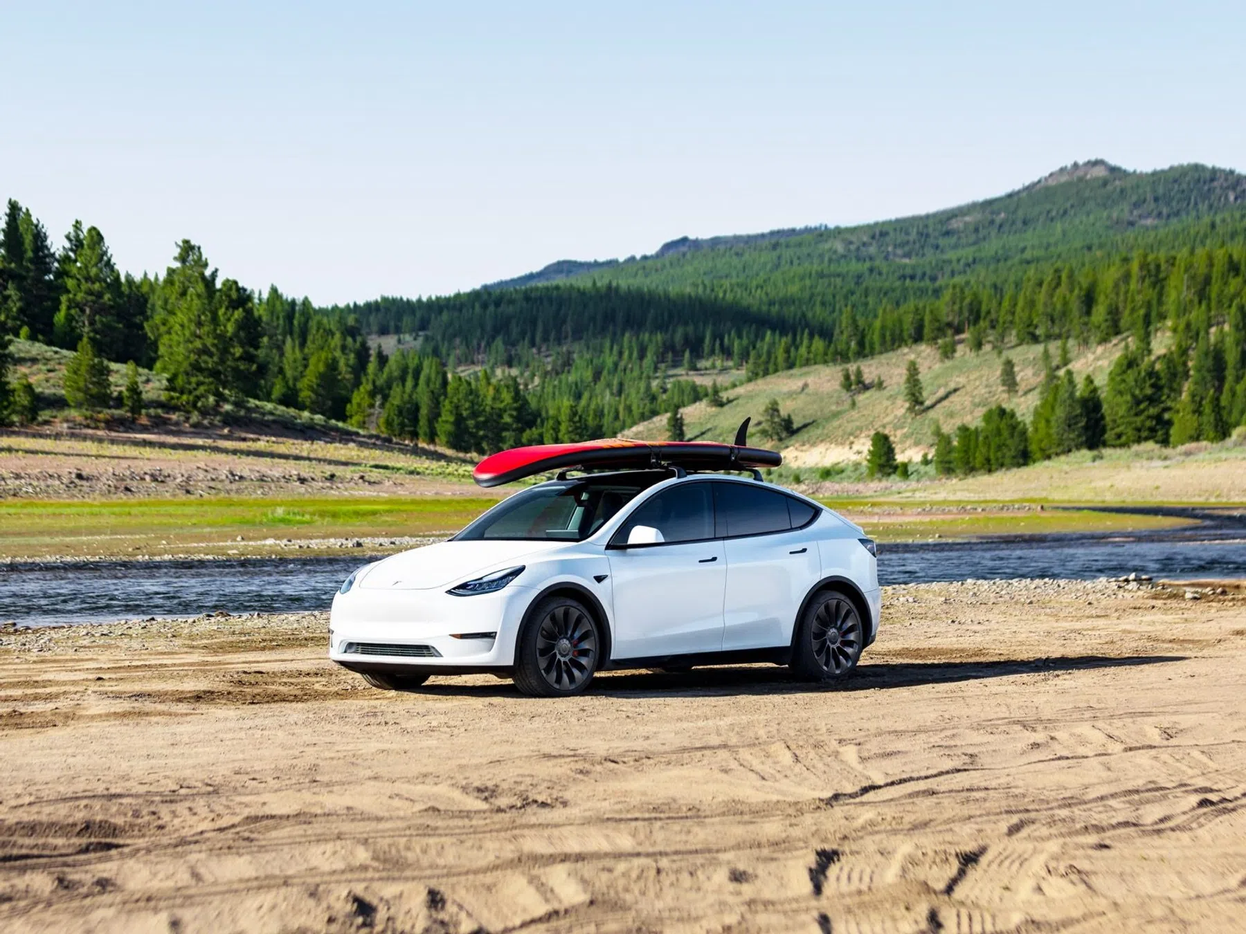 marktaandeel Tesla