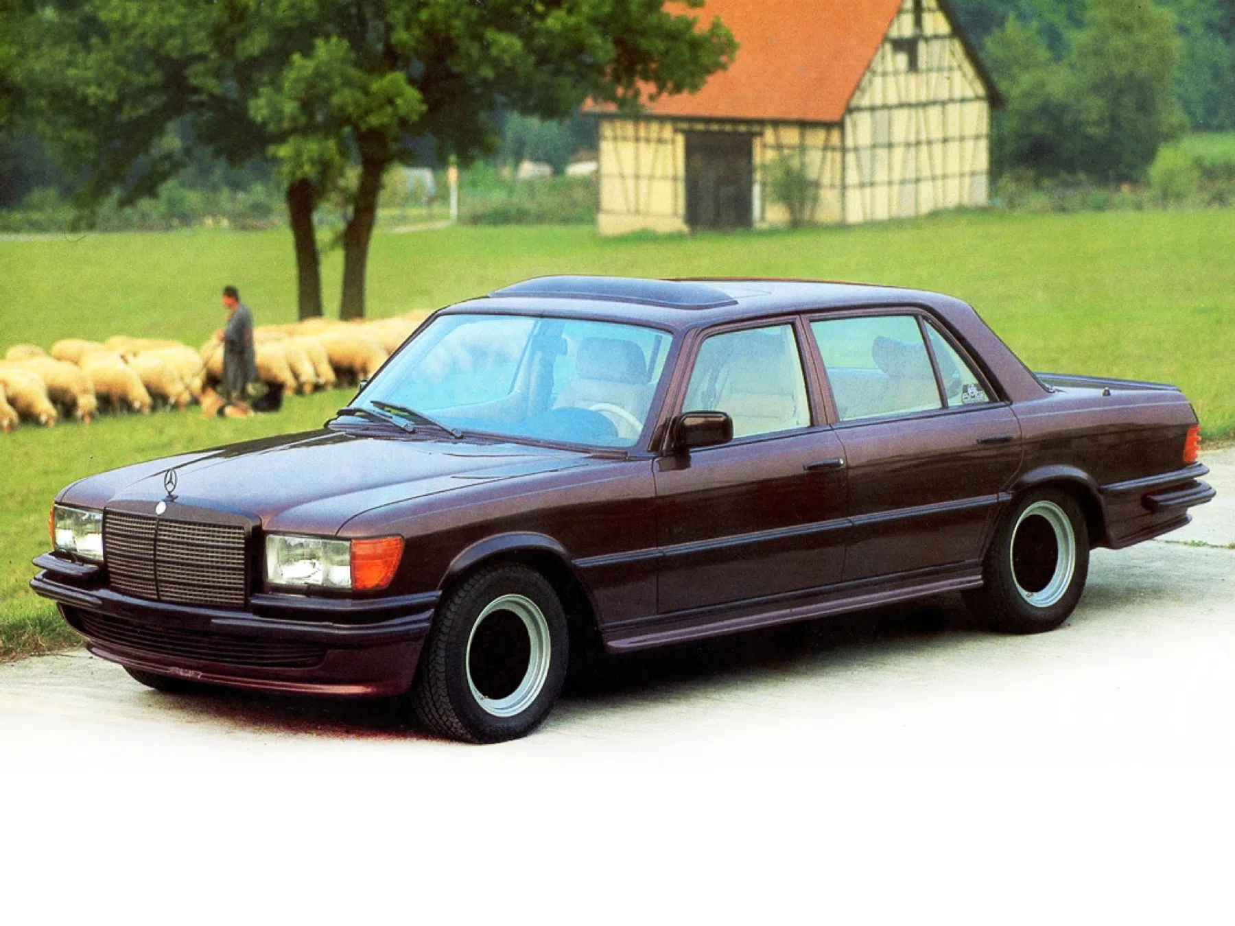 AMG V8
