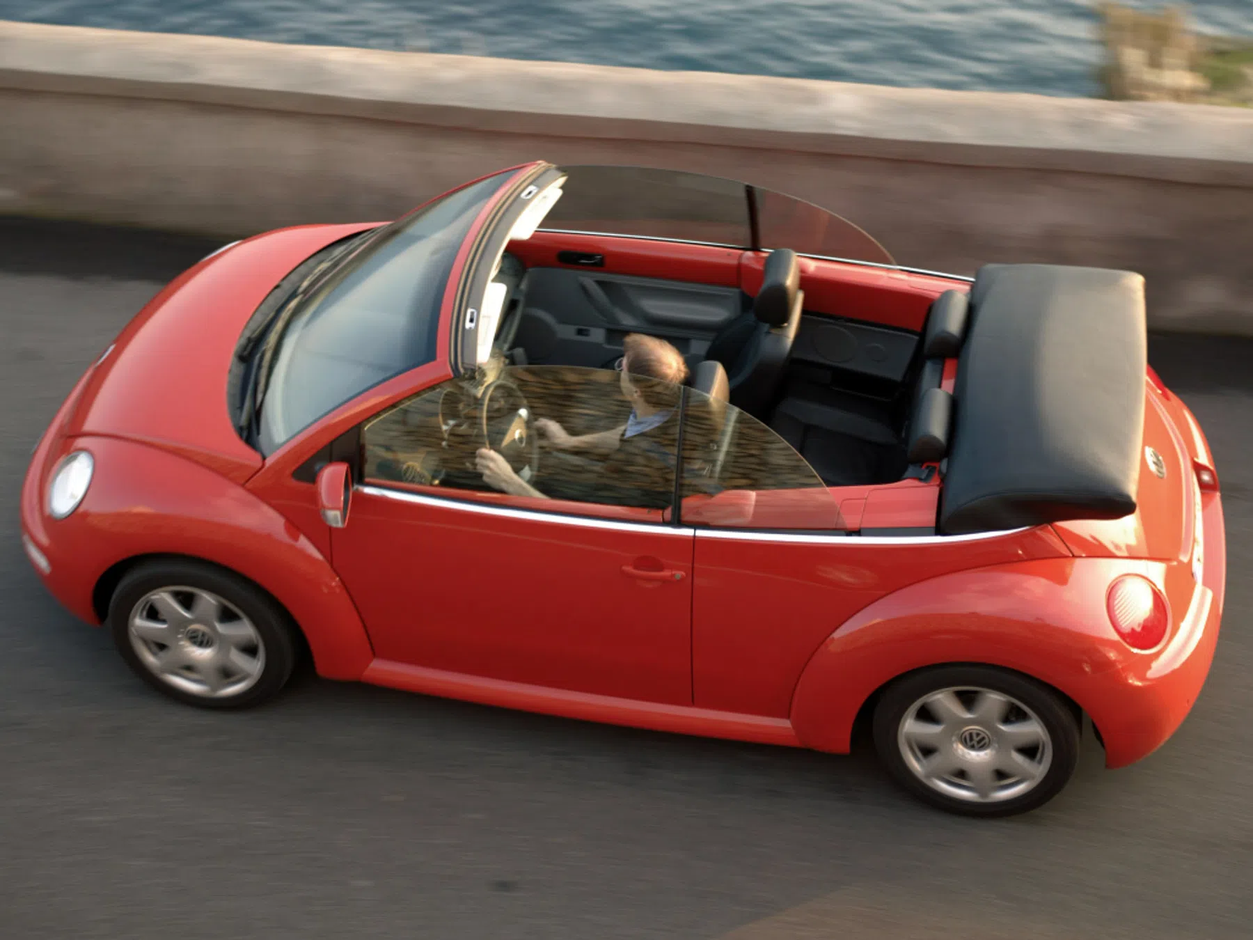 Beetle