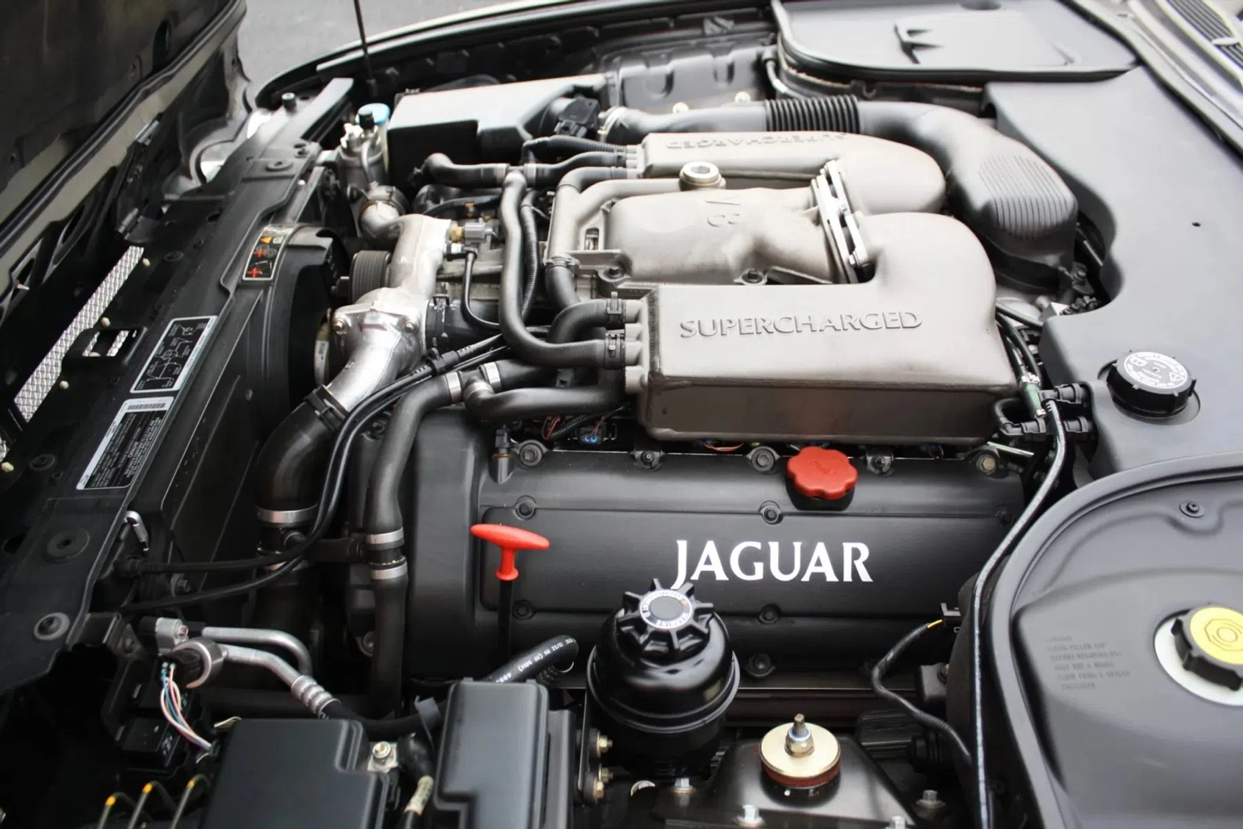 roestvrije Jaguar XJR