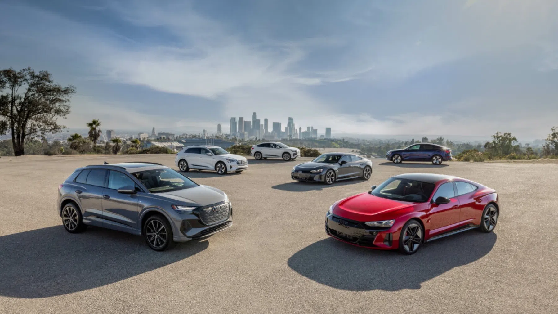 Elektrische Audi's