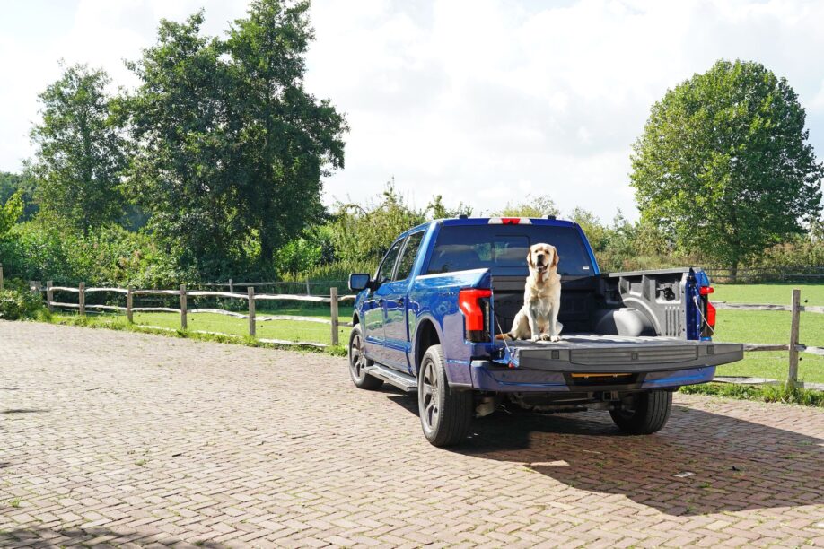Ford F-150 Lightning hond