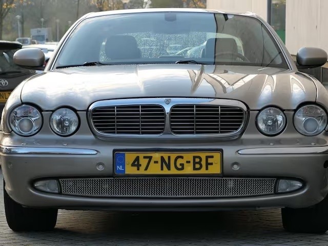 Ondersteunend beeld bij het artikel