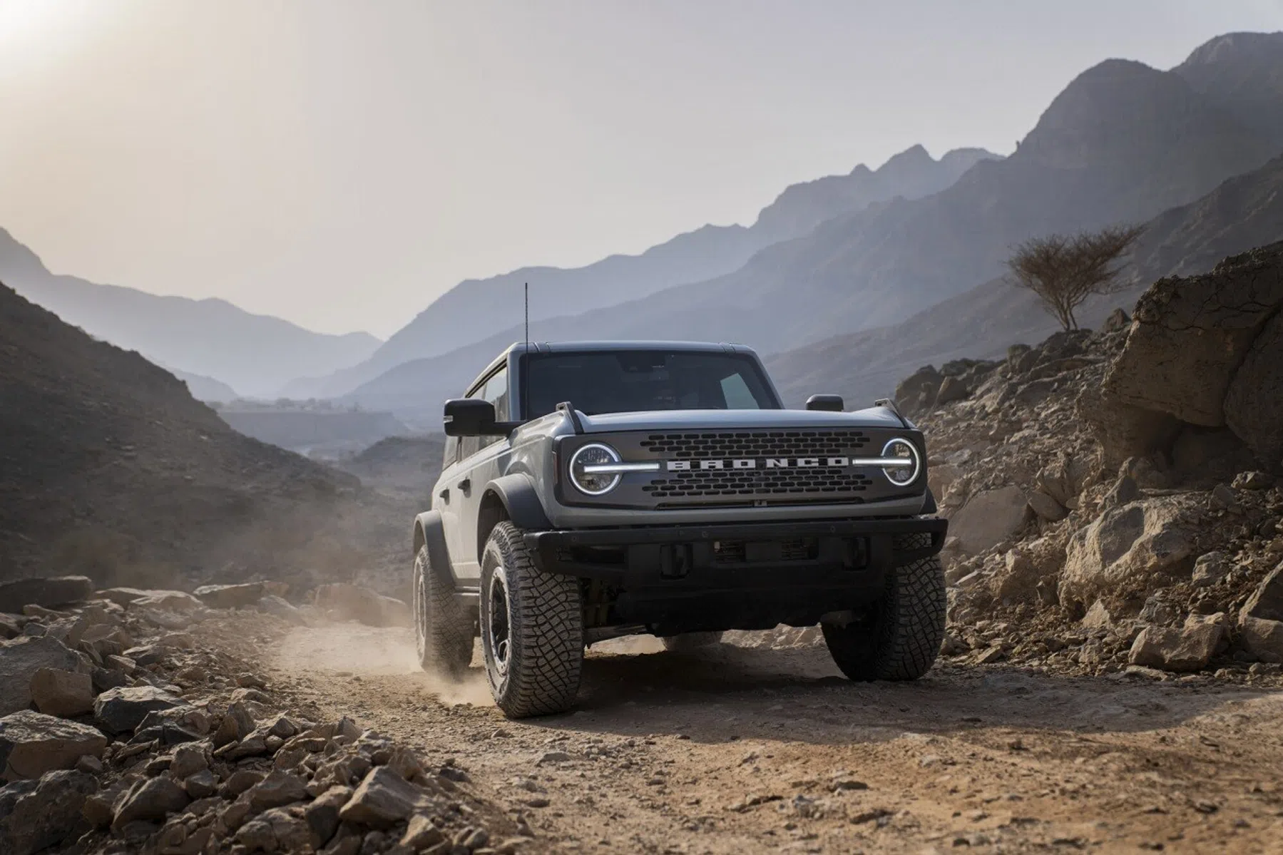 Ford Bronco Nederland