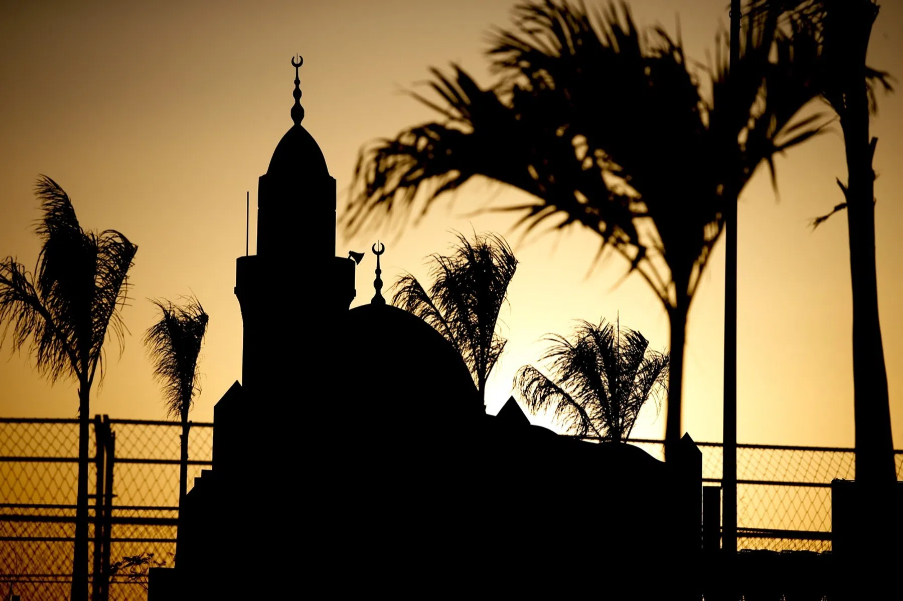 GP Saudi-Arabië 2023