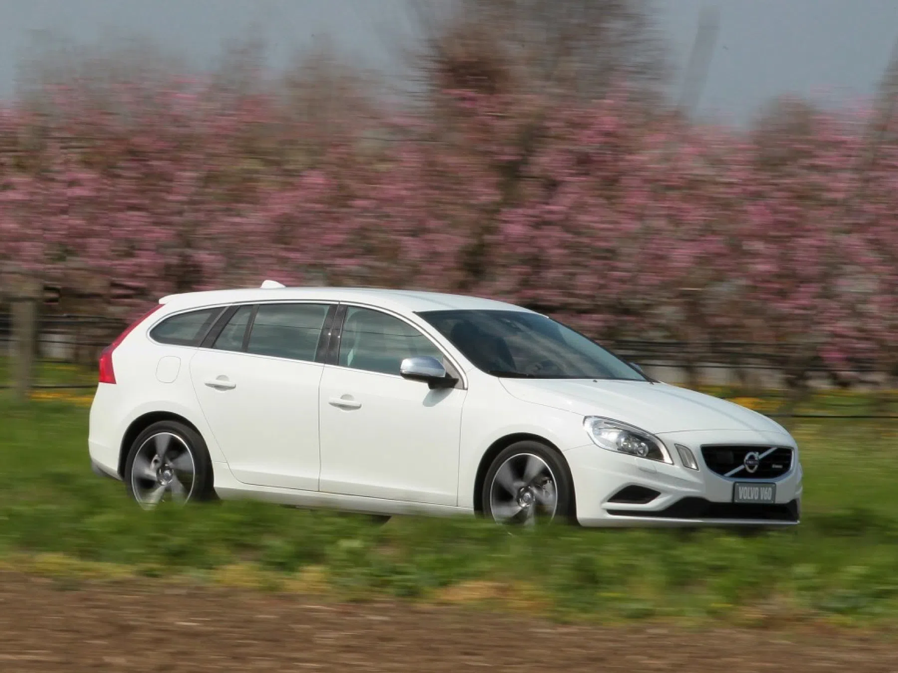 dikke diesel met handbak