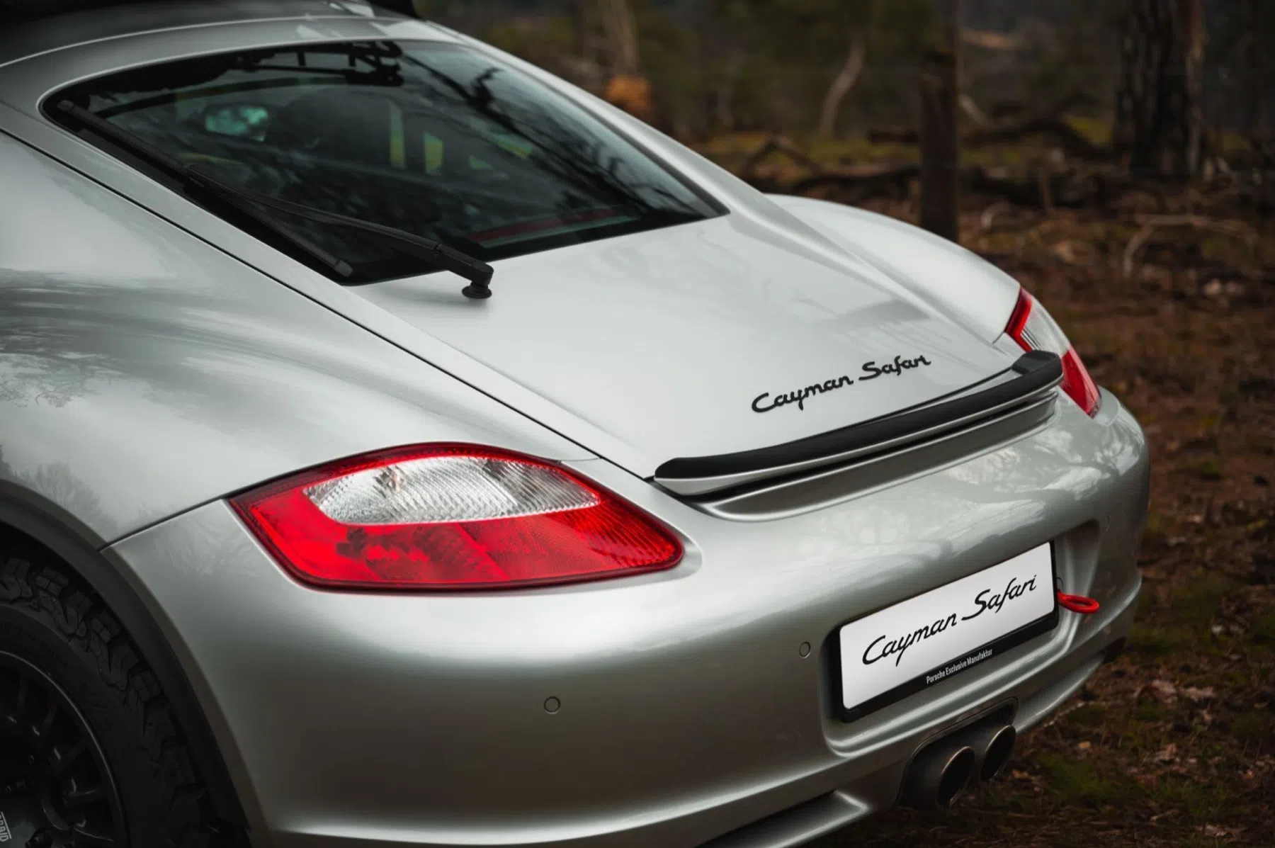 Porsche Cayman Safari
