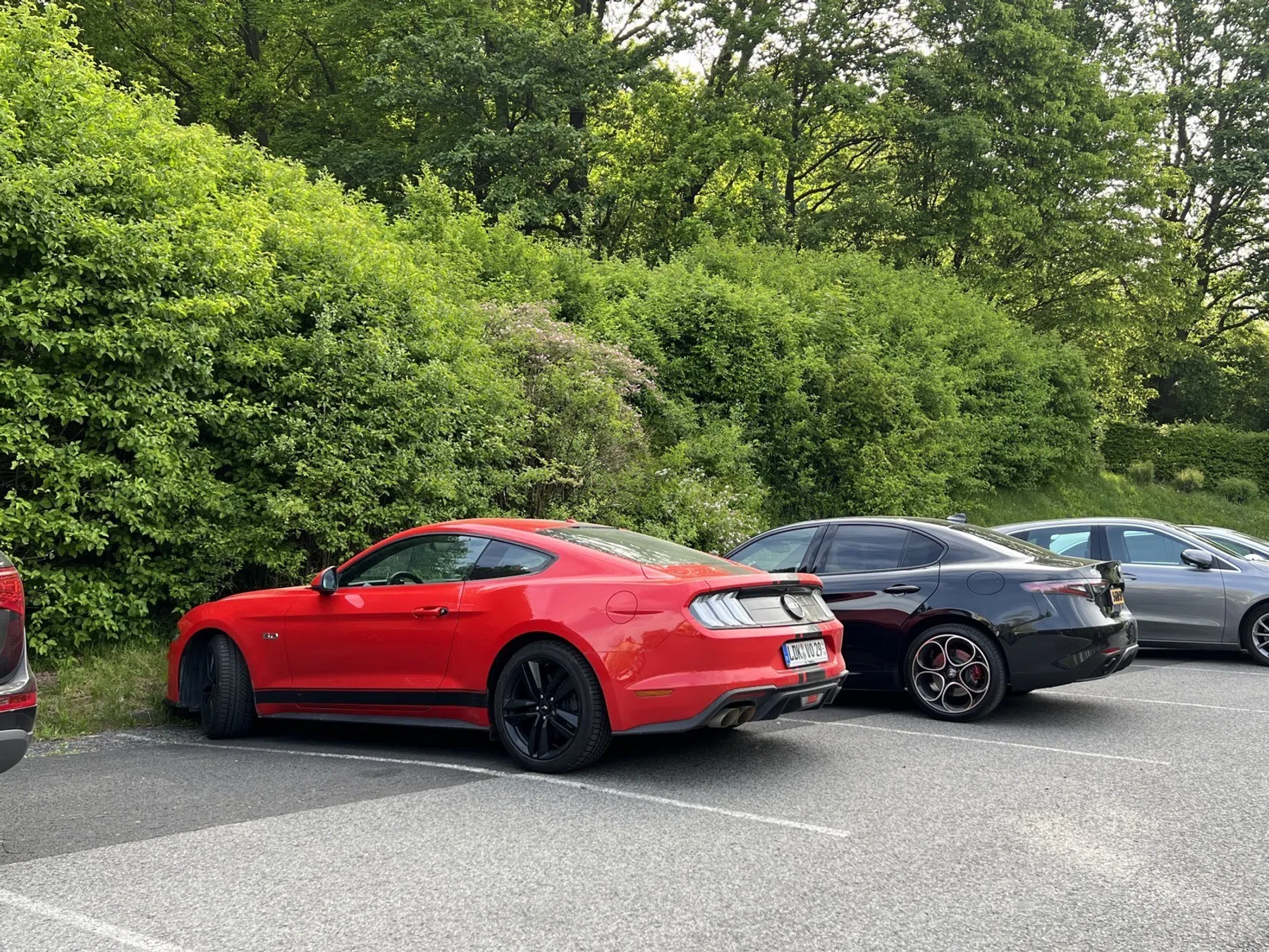 roadtrip Alfa Romeo Giulia