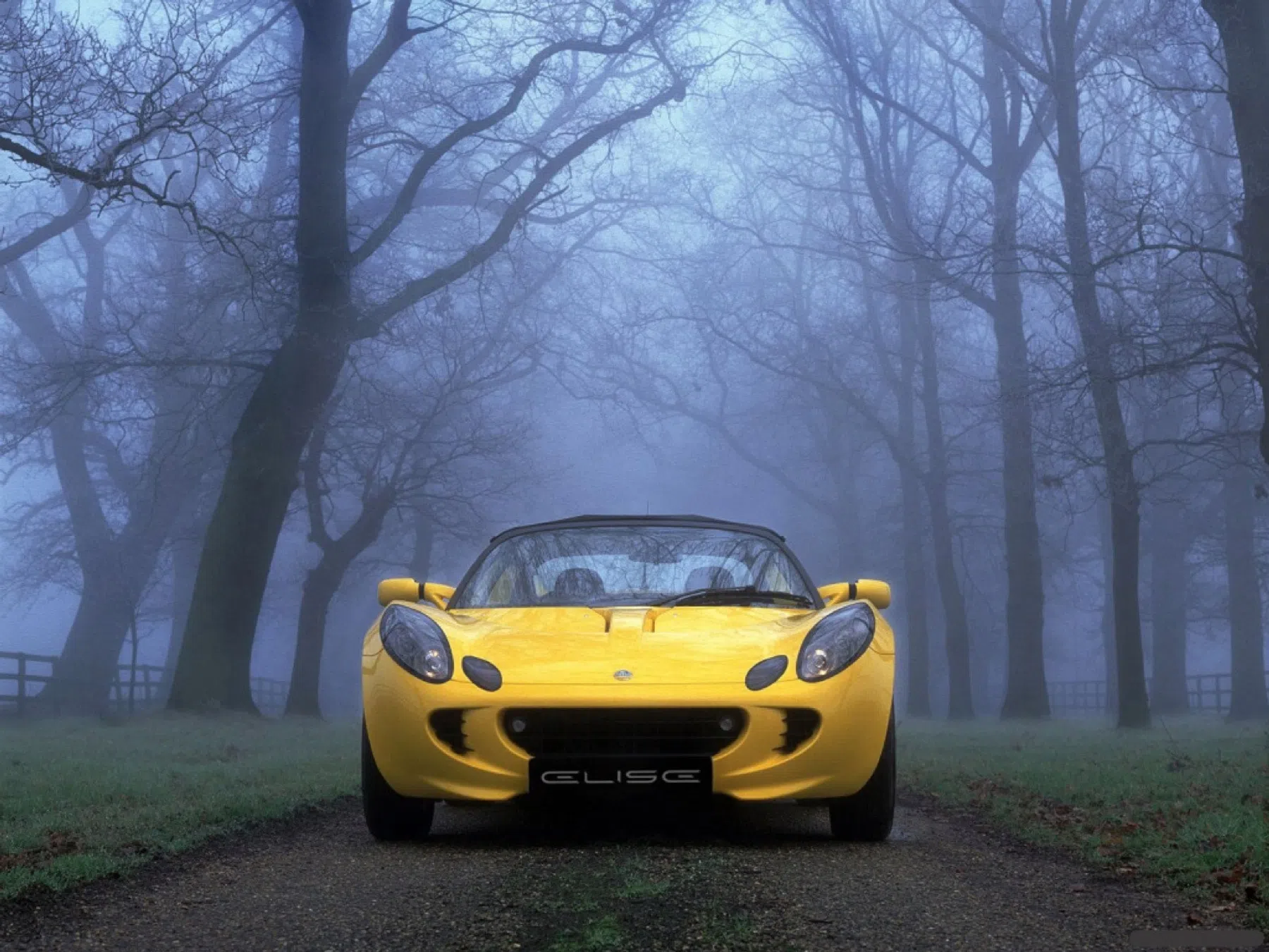 lichte roadster