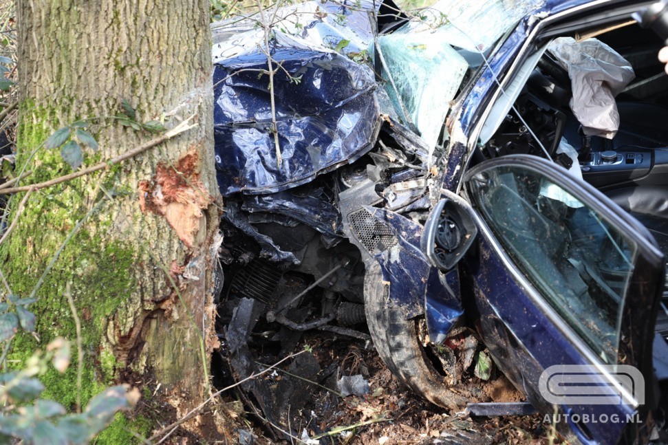 Ondersteunend beeld bij het artikel