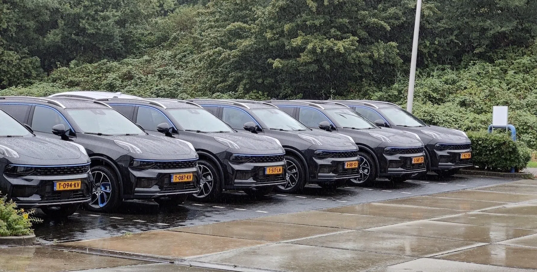 Ondersteunend beeld bij het artikel
