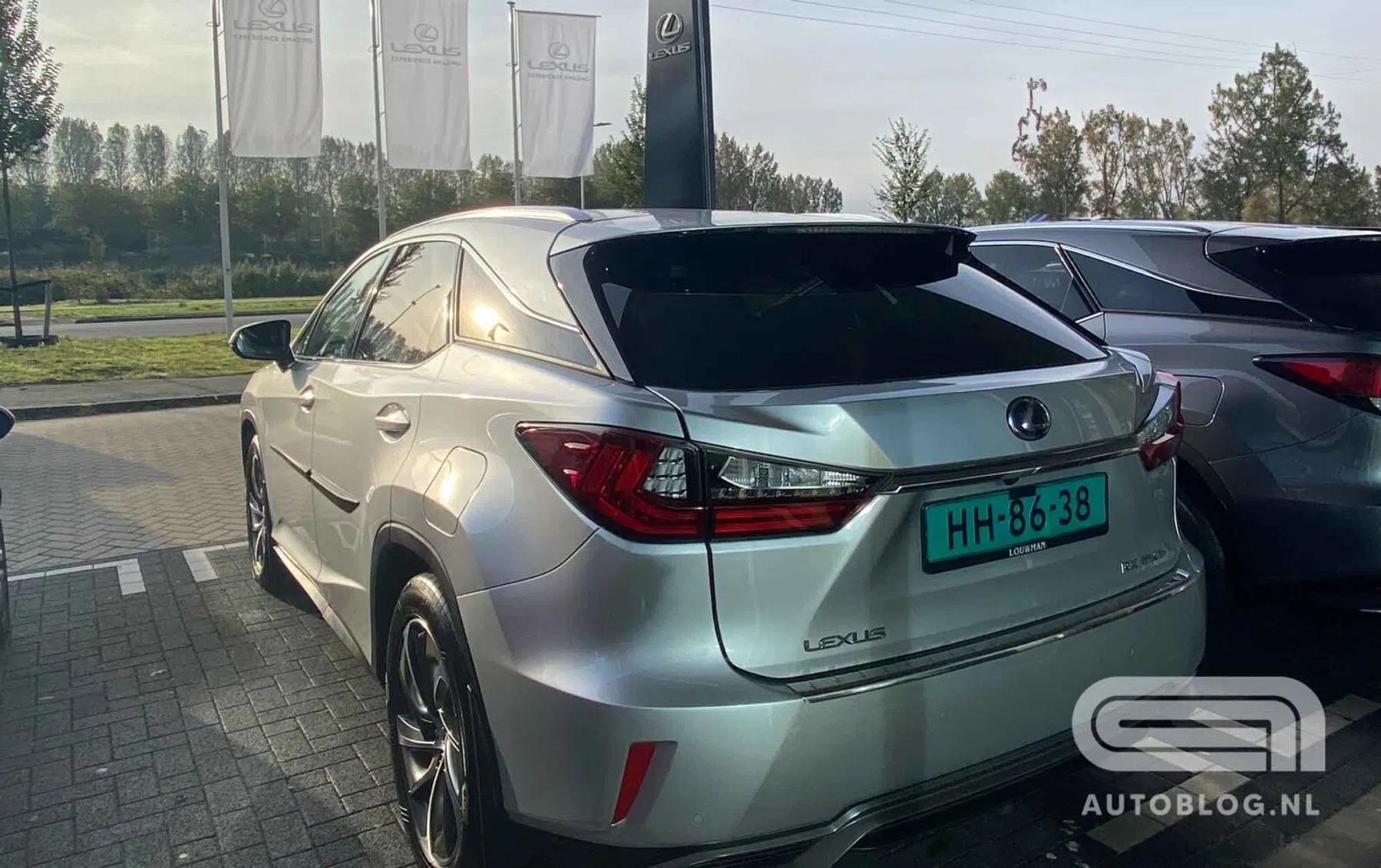 Lexus RX occasion