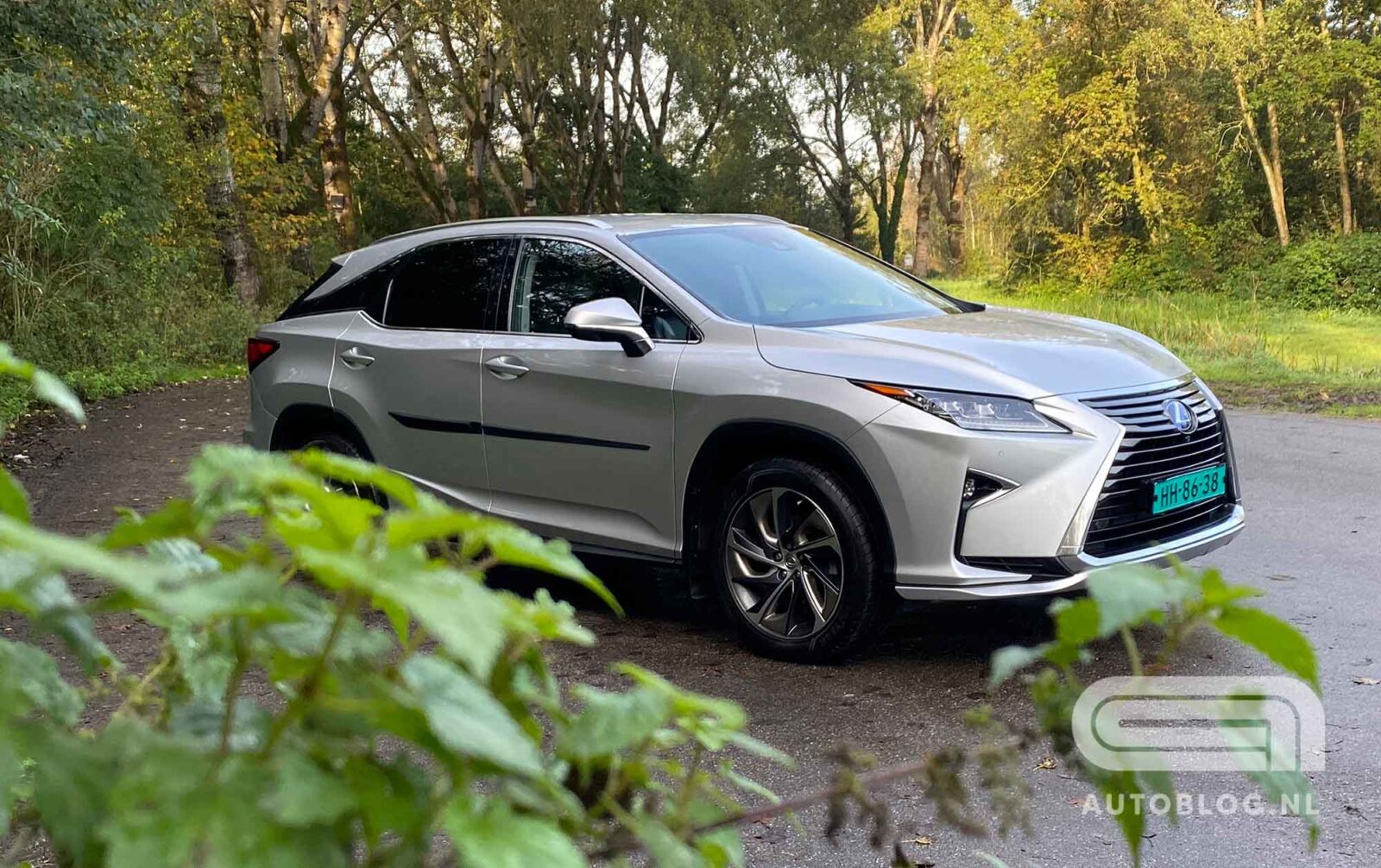 Lexus RX occasion
