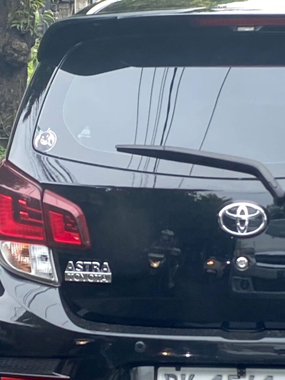 Ondersteunend beeld bij het artikel