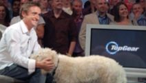 Richard Hammond TopGear dog