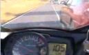 seat vs. suzuki