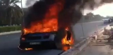 Flame grilled Gallardo