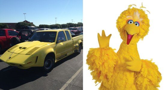 Pickup vs big bird