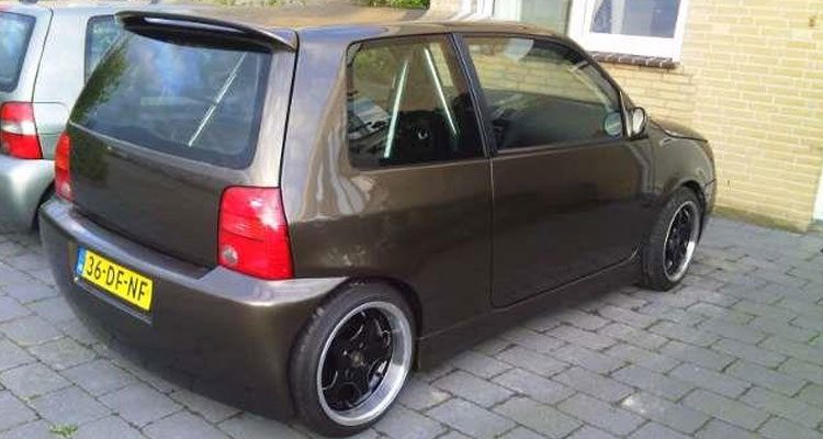 Dikke Lupo
