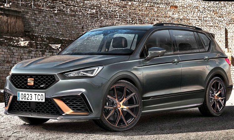 Cupra Terraco '19