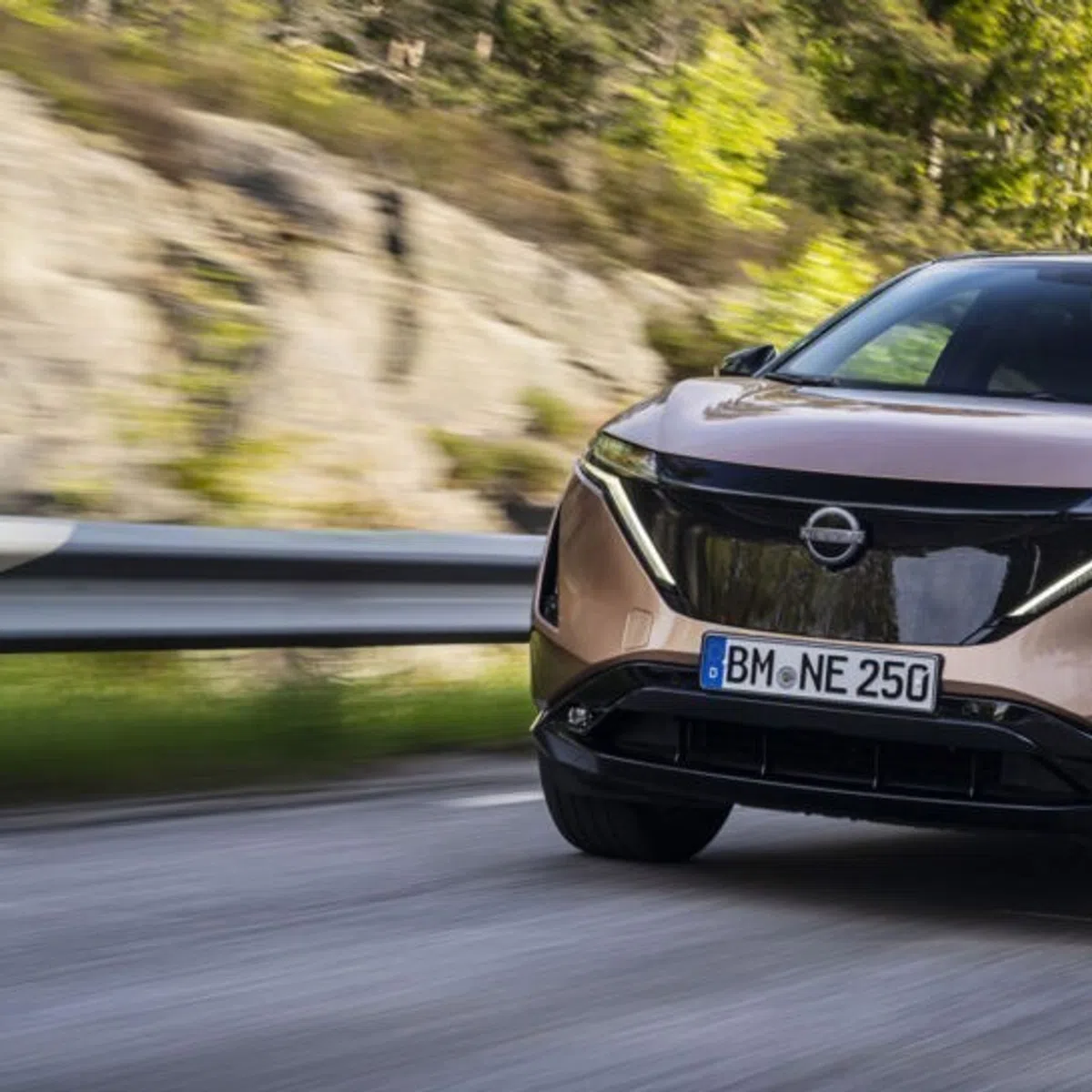 Hondendeken autokofferbak voor Nissan Ariya I 2022-2024, waterafstotend & onderhoudsvriendelijk, kofferbakbescherming hond met zij- en laaddrempelbescherming