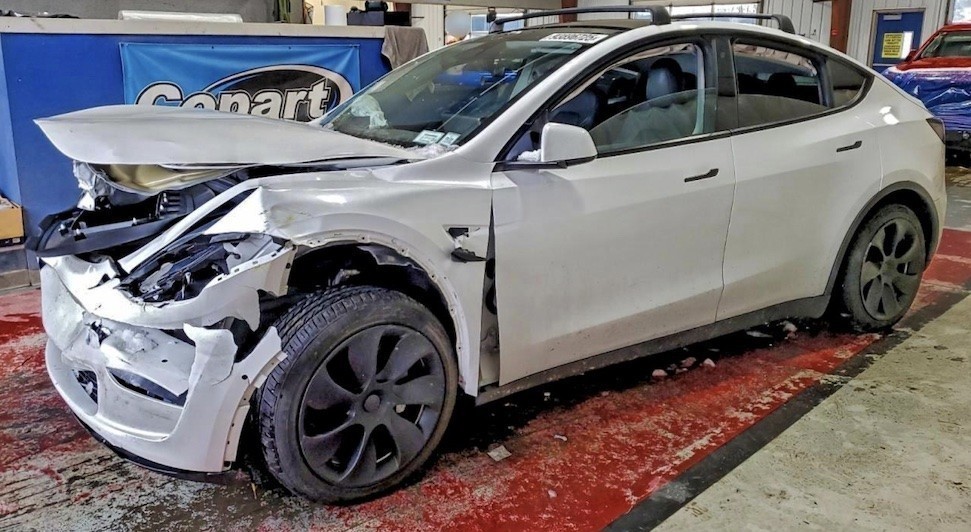 Model Y