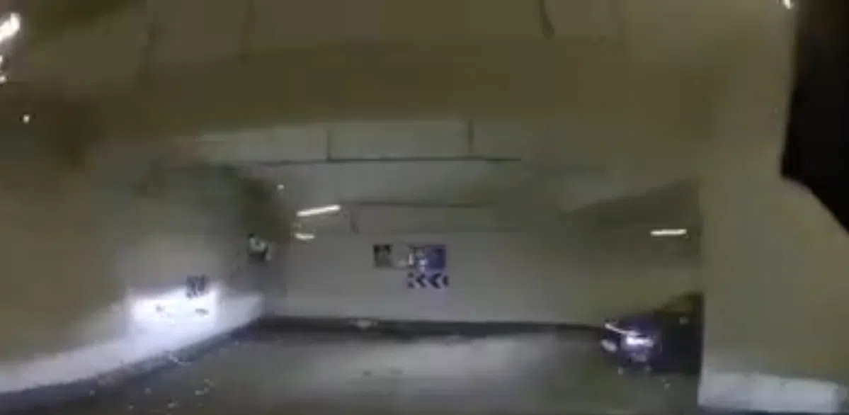 Deze onverwachte schrikreactie zag niemand aankomen