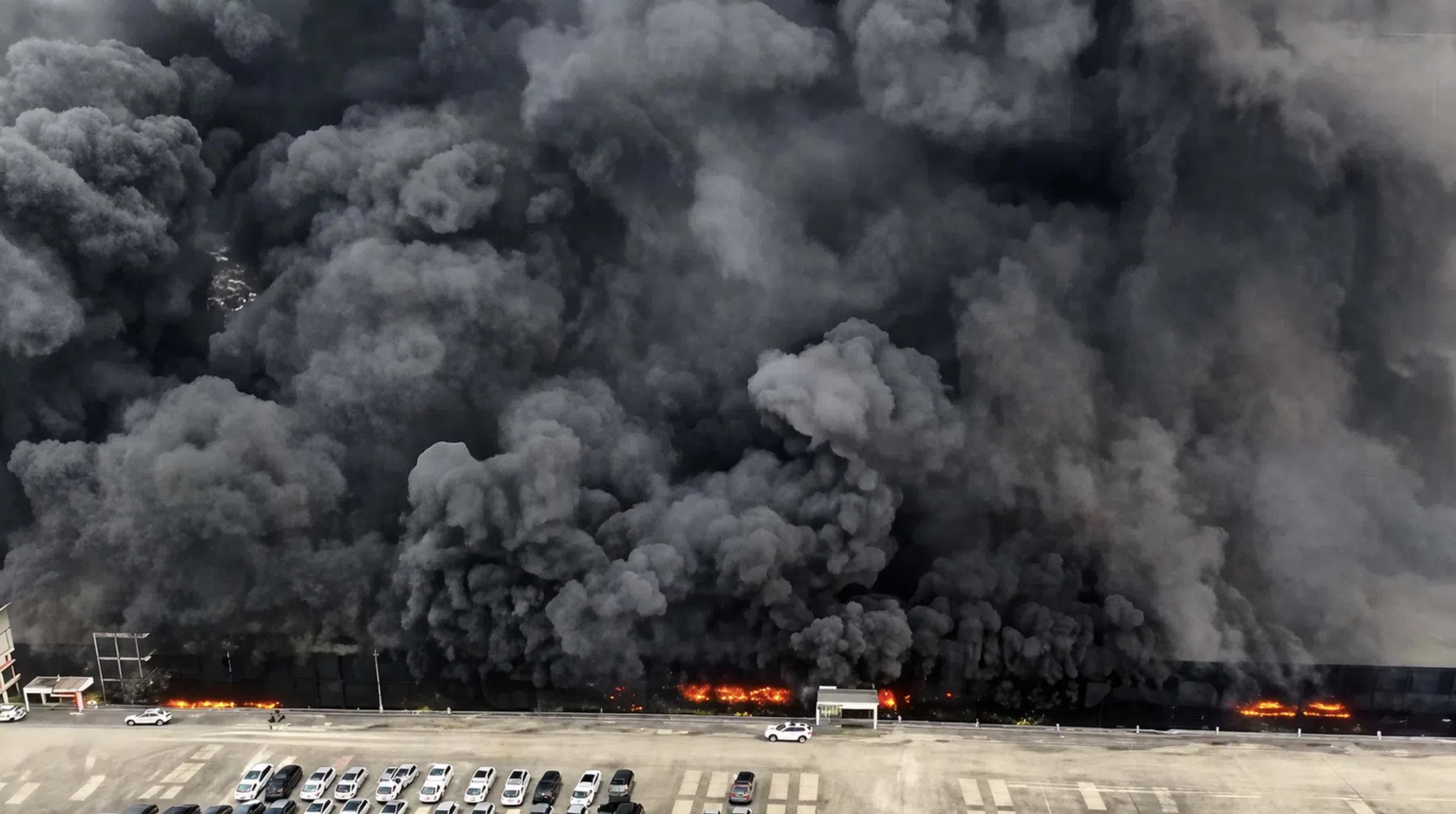 BYD. Burn Your Dreams?