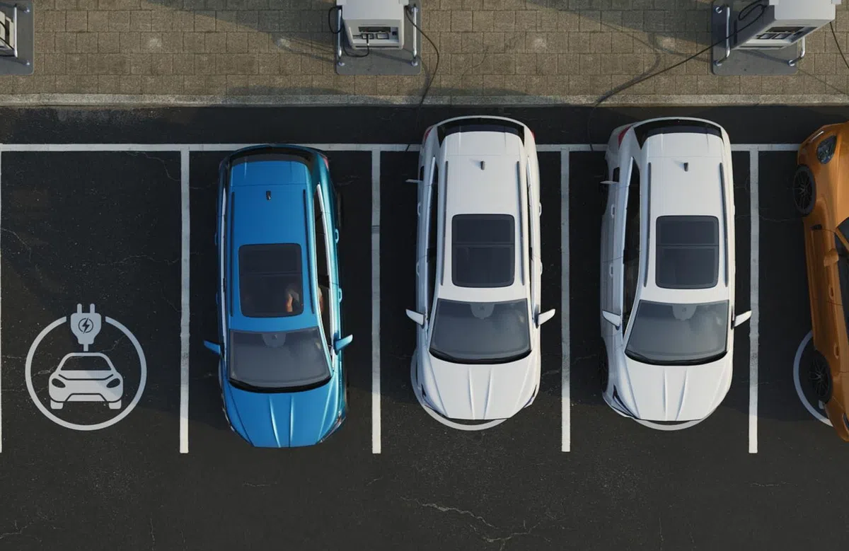 Nederlanders kunnen nog steeds niet inparkeren