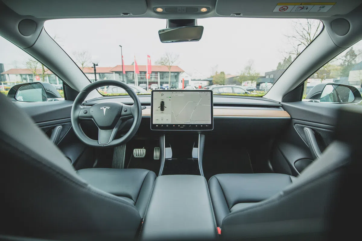 Tesla's FSD heeft blijkbaar nogal moeite met katten in het donker
