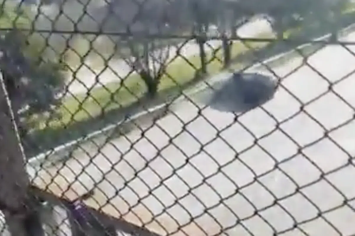 Achteruitrijden op een snelweg, wat kan er misgaan?